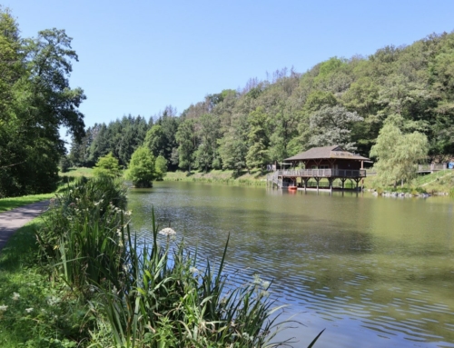 Domaine de Chevetogne