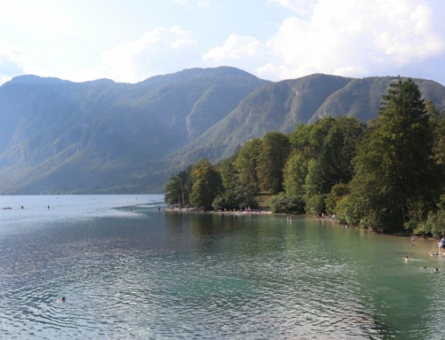 Lake Bohinj